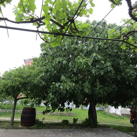 Apartmán Garden